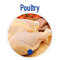Poultry