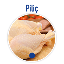 Piliç